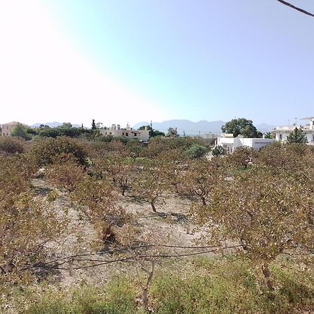 Miranta Hotel - Apartments & Studios Aegina 外观 照片