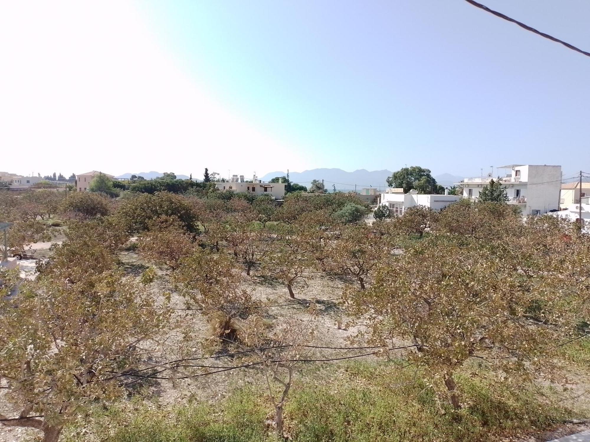 Miranta Hotel - Apartments & Studios Aegina 外观 照片